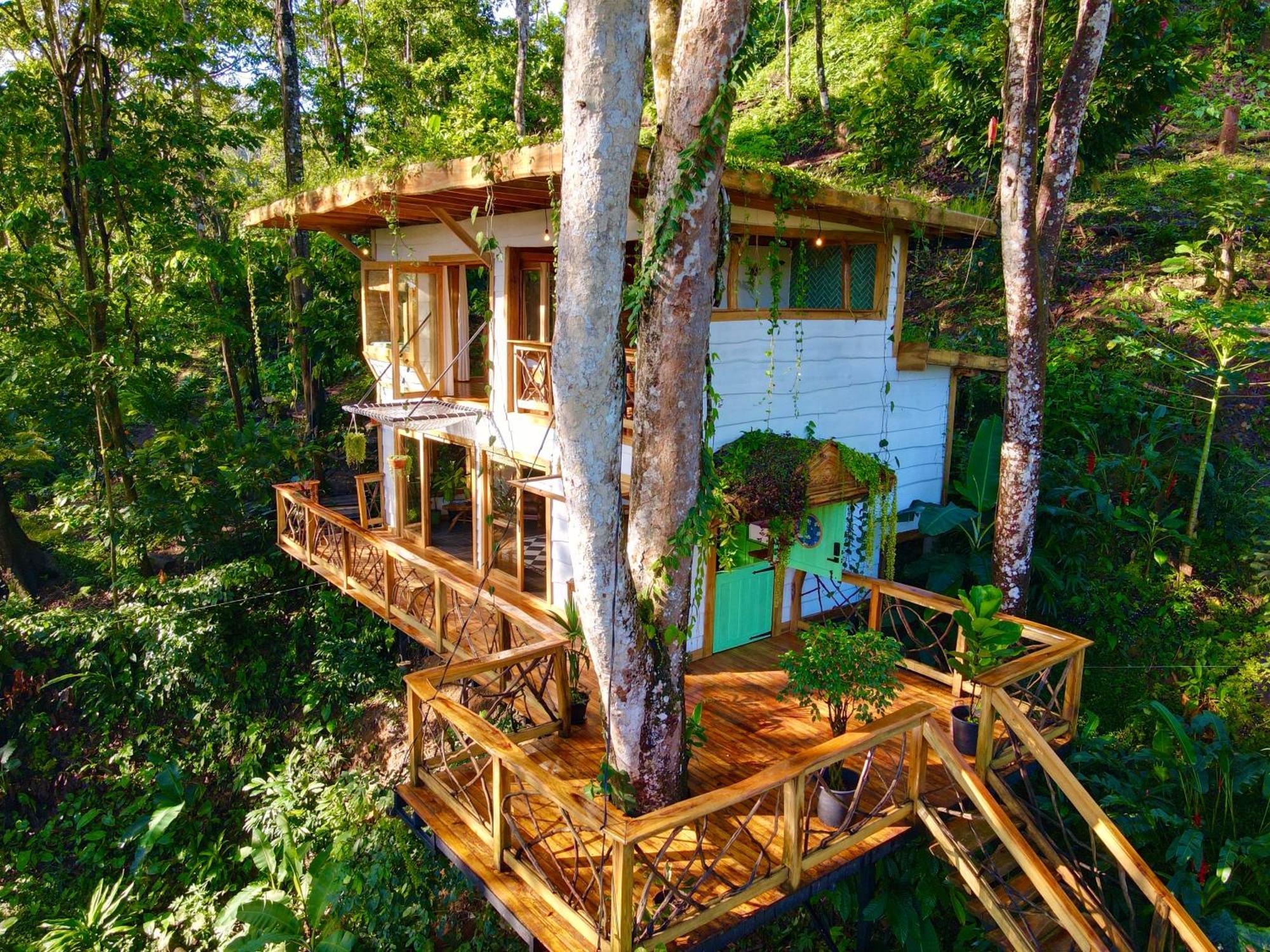 Jungle Spirit Treehouse Villa Cahuita Eksteriør bilde