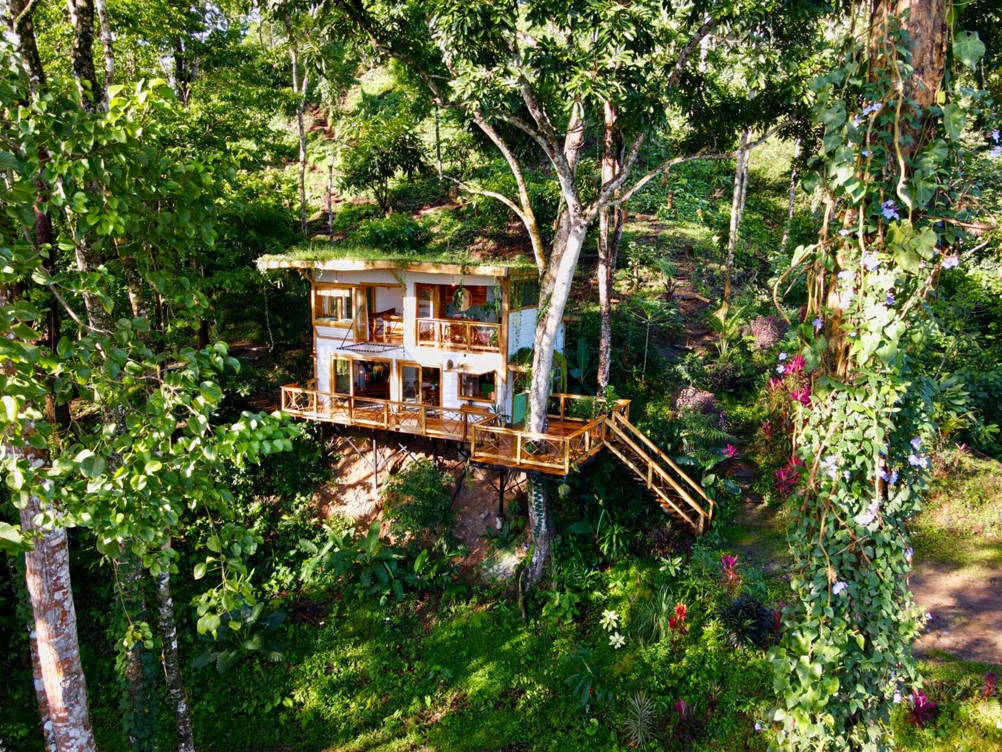 Jungle Spirit Treehouse Villa Cahuita Eksteriør bilde