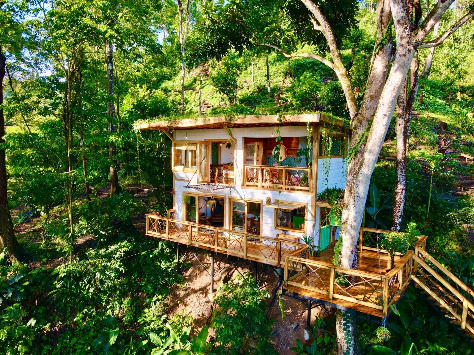 Jungle Spirit Treehouse Villa Cahuita Eksteriør bilde