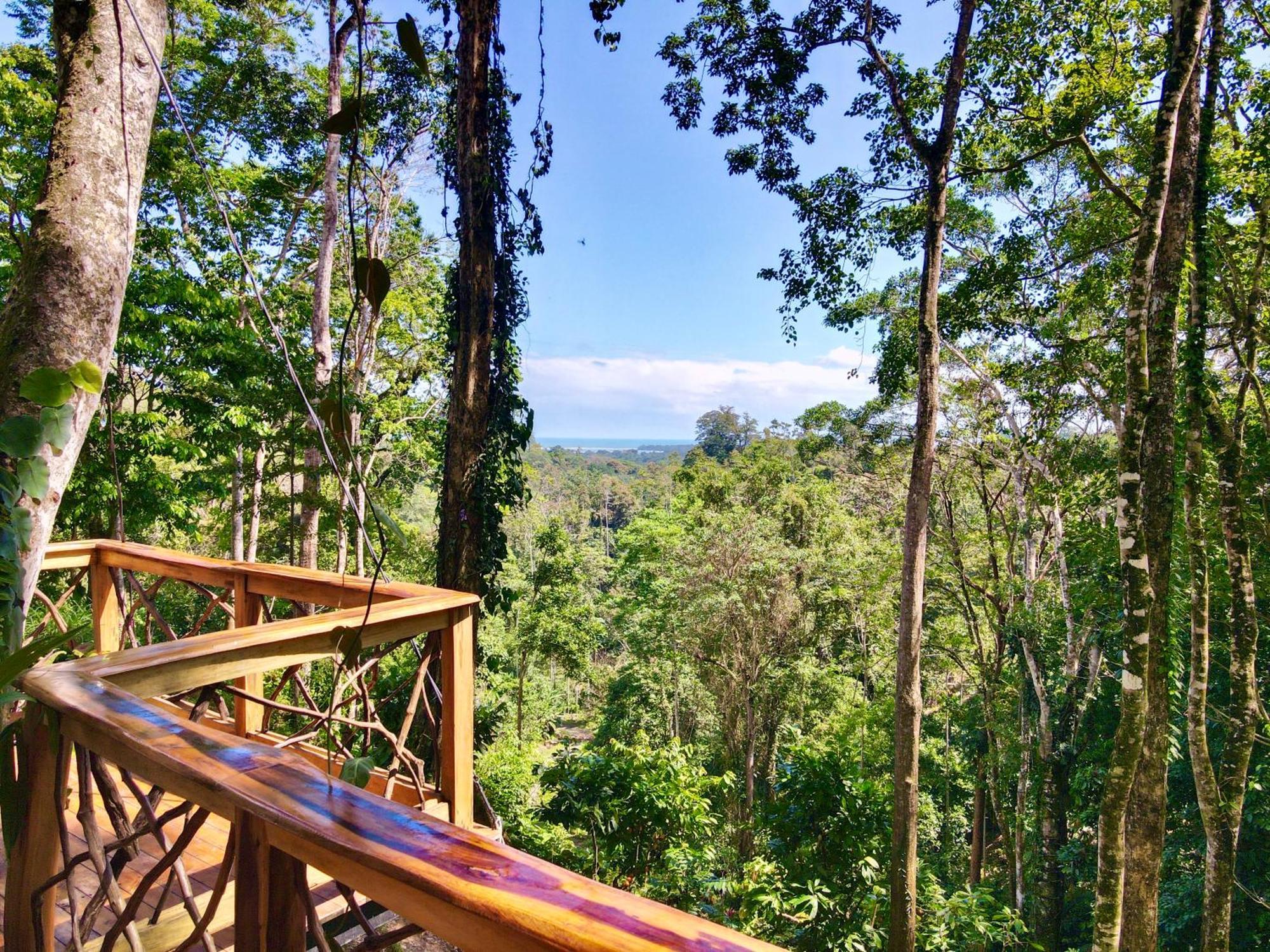Jungle Spirit Treehouse Villa Cahuita Eksteriør bilde