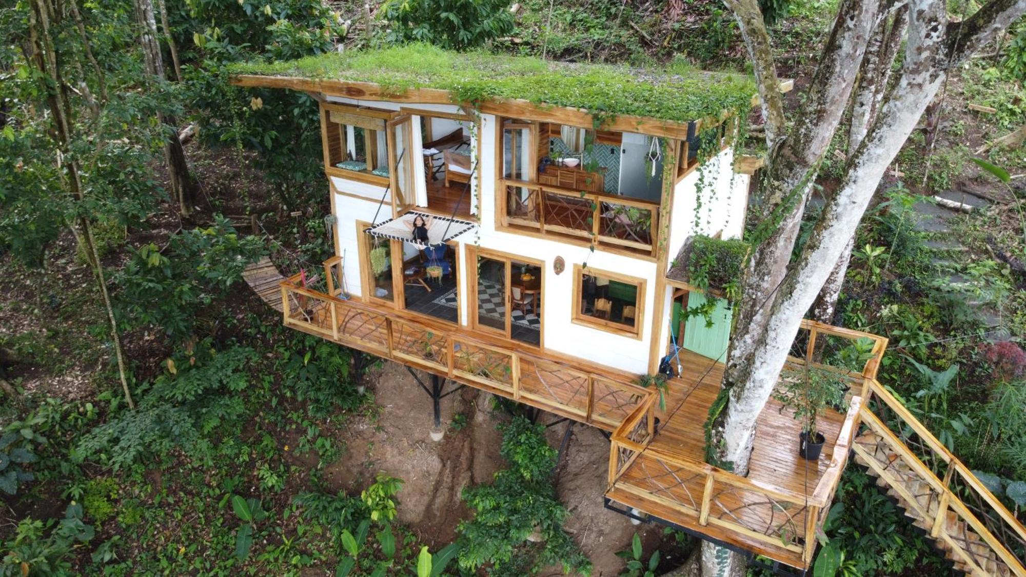 Jungle Spirit Treehouse Villa Cahuita Eksteriør bilde
