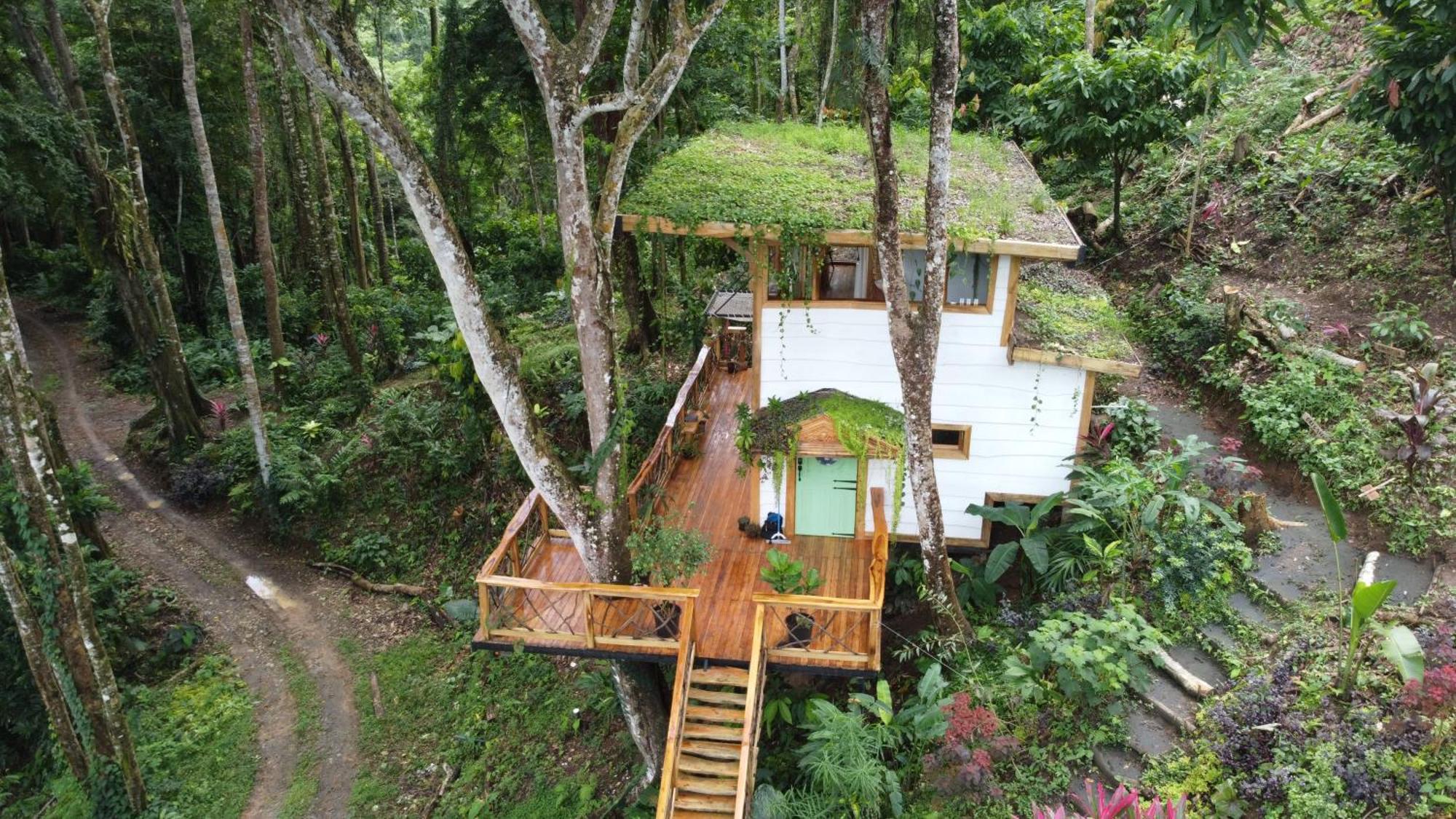 Jungle Spirit Treehouse Villa Cahuita Eksteriør bilde