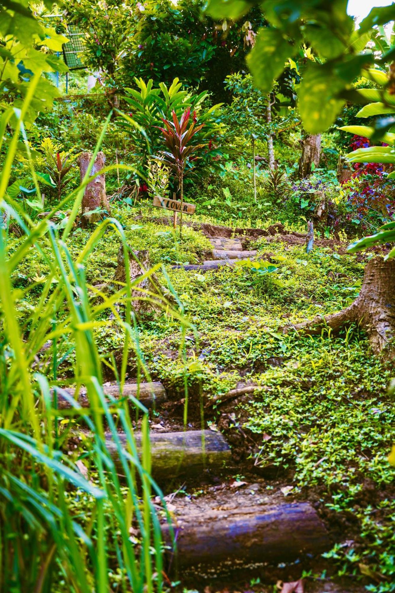 Jungle Spirit Treehouse Villa Cahuita Eksteriør bilde