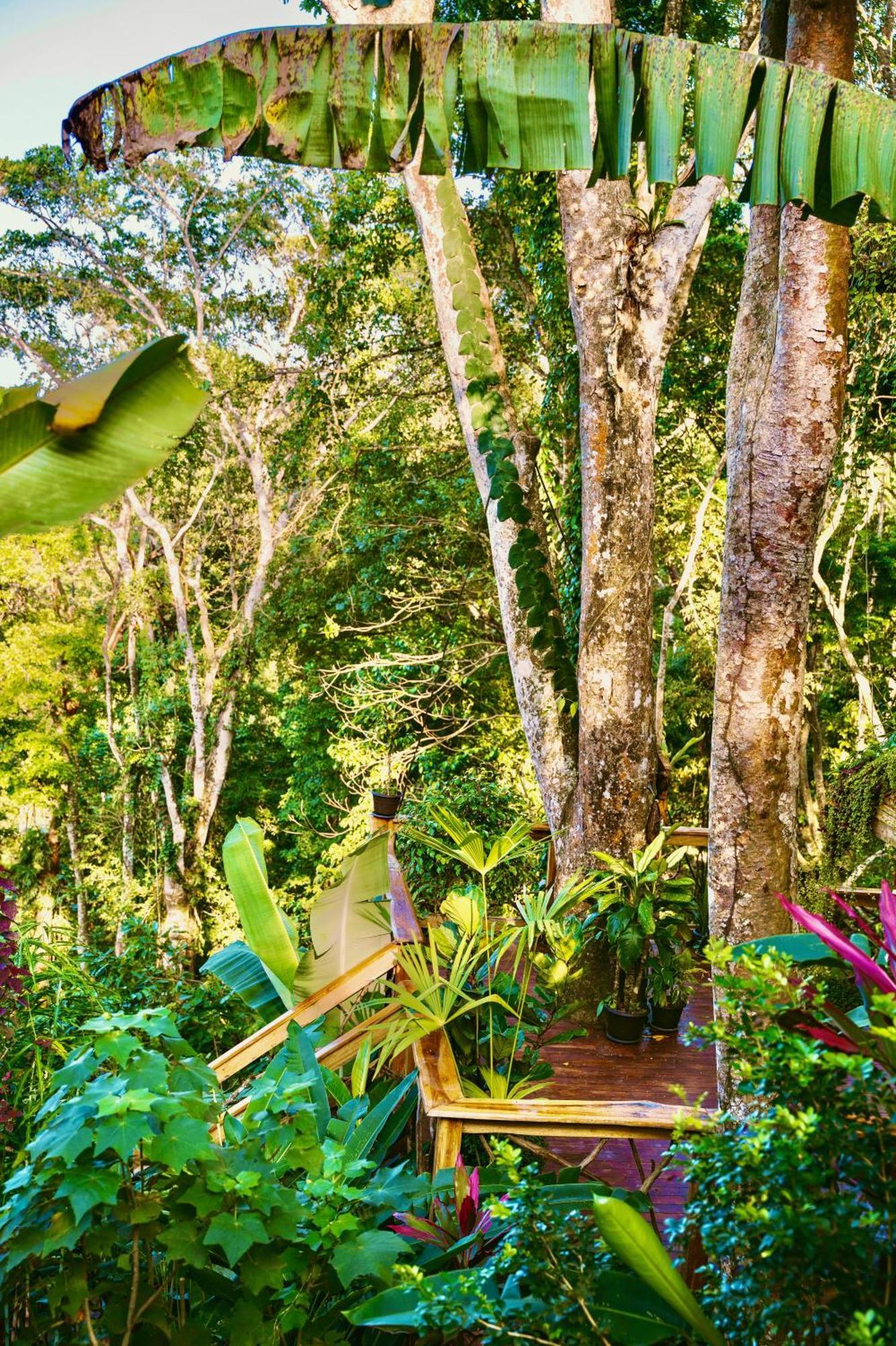 Jungle Spirit Treehouse Villa Cahuita Eksteriør bilde
