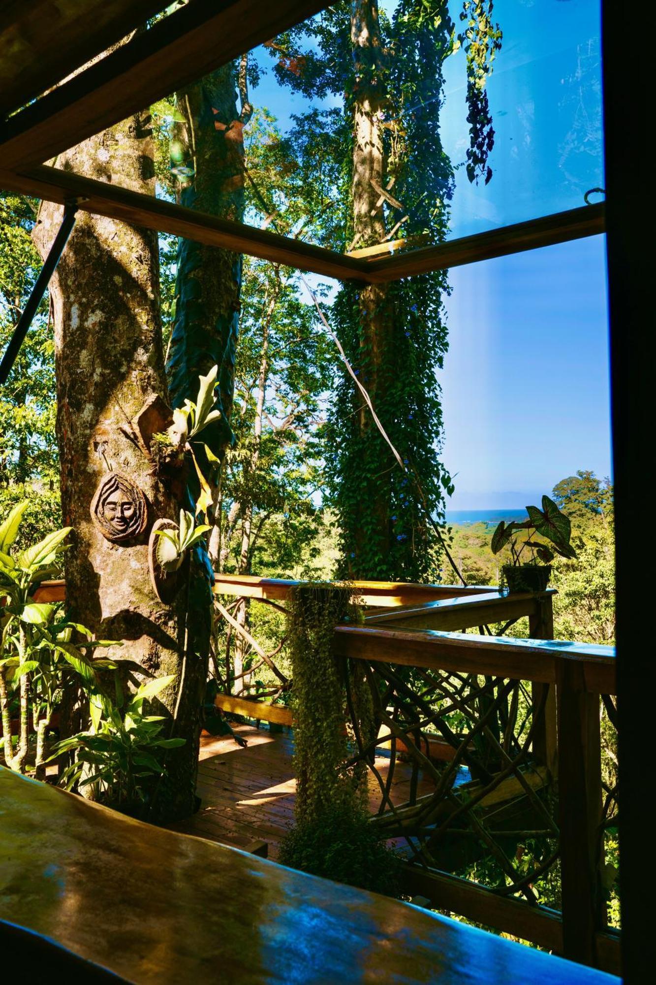 Jungle Spirit Treehouse Villa Cahuita Eksteriør bilde